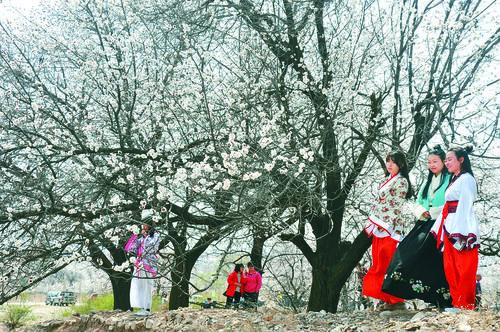 看个球直播app界面截图 - 免费下载